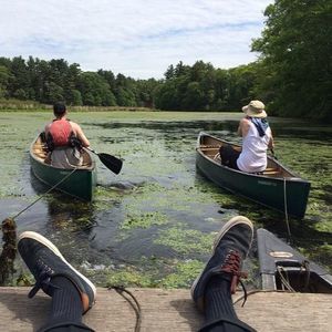 Meet your Posher, Drew